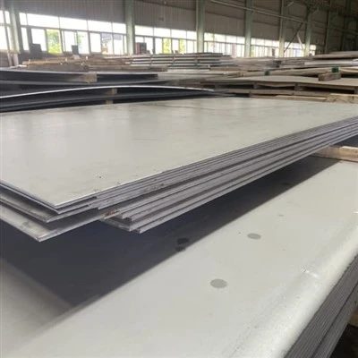 Super Duplex S31803 Terasplaat